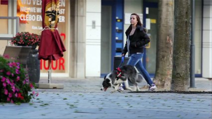 Postcard - FIAT Professional MXGP of Belgium 2018