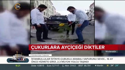 Çukurlara ayçiçeği diktiler