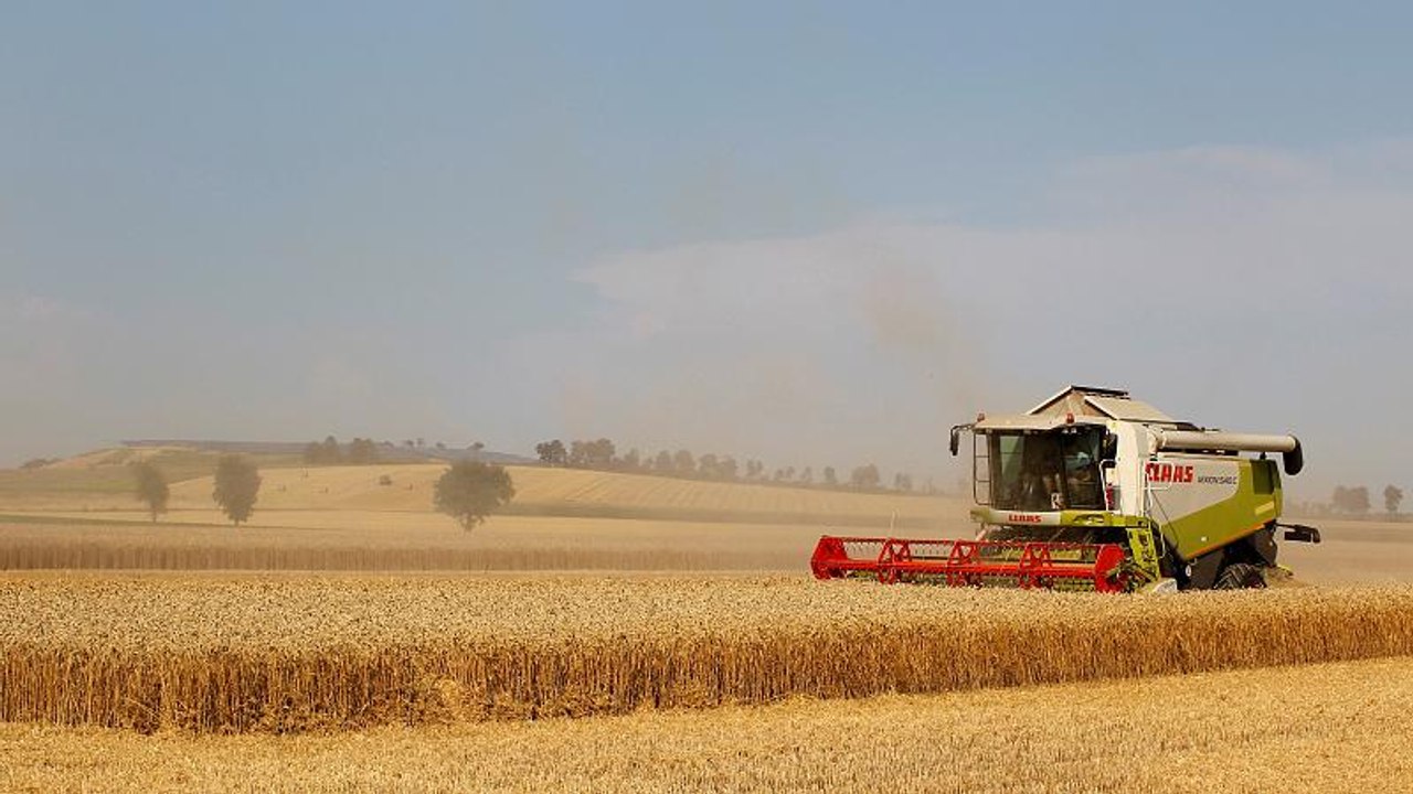 'Extreme Dürre': Deutschlands Landwirten drohen hohe Verluste