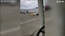¡Oso invade la pista de aviones de un aeropuerto en Estados Unidos!