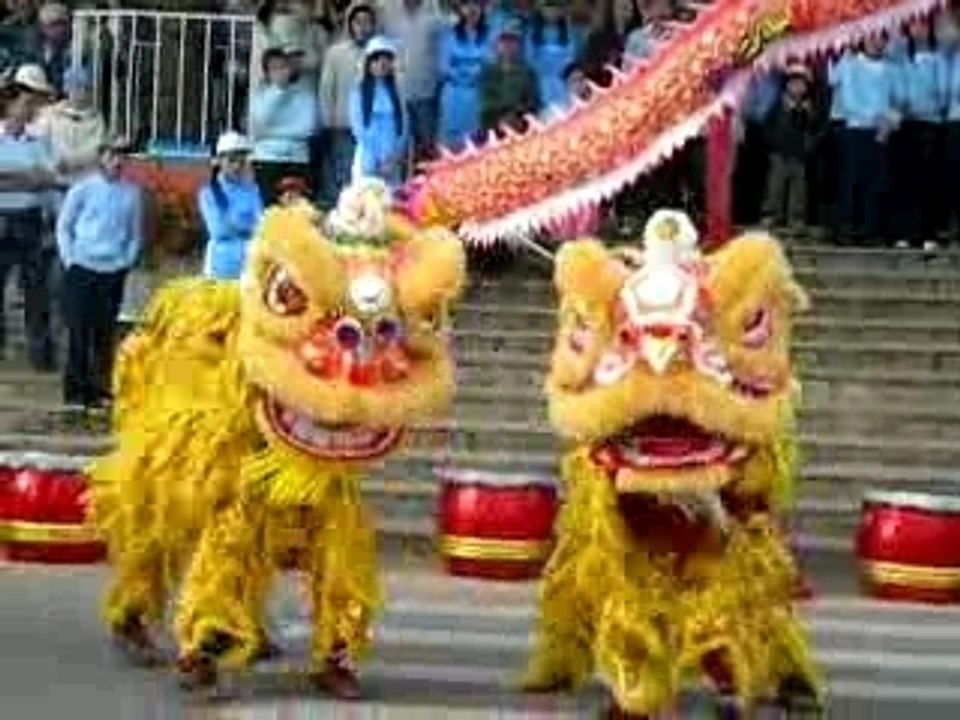 Danse du dragon 005