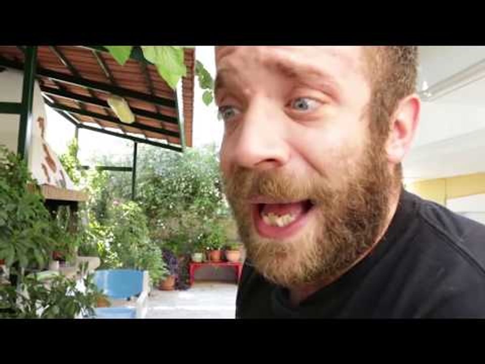 Ponzi | Τι έγινε στη Σκωτία?