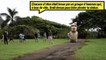 Comment les habitants de l’île de Pâques ont-ils réussi à déplacer leurs gigantesques statues, les moai ?