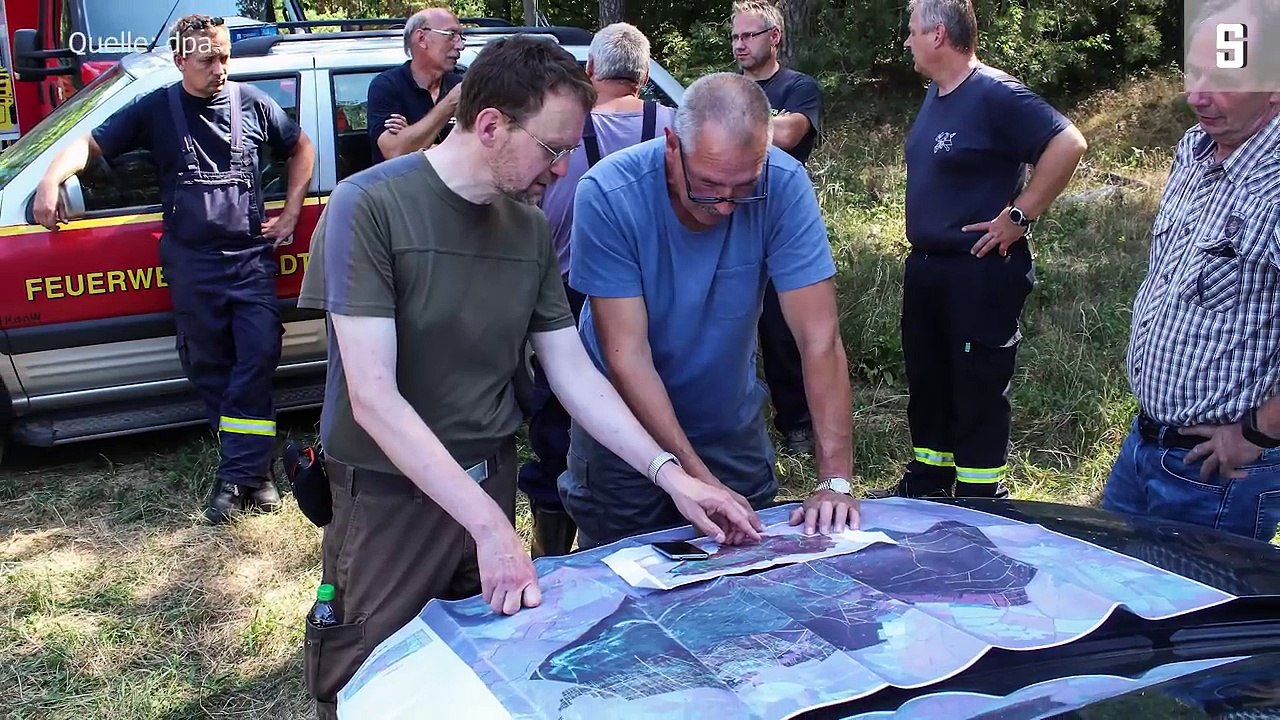 Waldbrandgefahr in Brandenburg Die Gefahr lauert in den Baumkronen