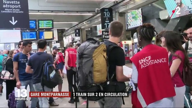 Gare Montparnasse : 1 train sur 2 en circulation, des passagers excédés