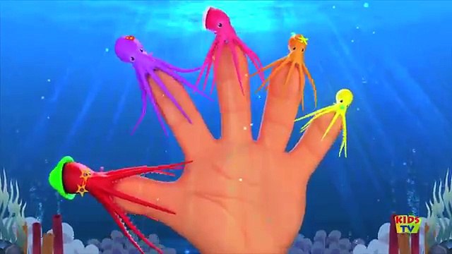 five little penguins | nursery rhymes | baby videos | kids songs | kids tv cartoon videos