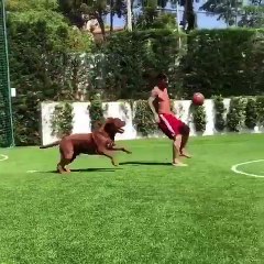 Barcelona'nın Arjantinli yıldızı Lionel Messi yeni sezona köpeğiyle hazırlanıyor