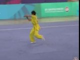 9th World Wushu Championships 2007  Chang Gun