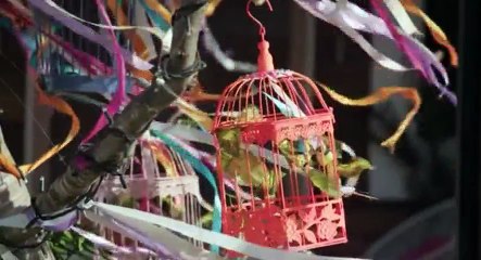 Superfoods The Real Story S02 - Ep03 Saffron, Coffee and Eithiopian Teff - Part 01 HD Watch