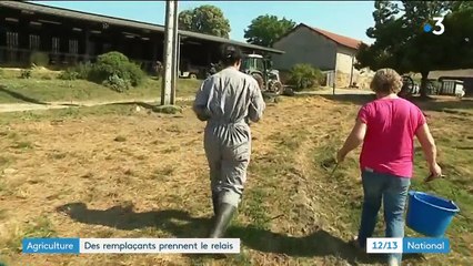 Agriculture : les remplaçants prennent le relais