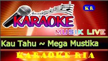 Lagu Dangdut Paling Populer ~ Bukankah Kau Tahu ~ Mega Mustika (Karaoke)