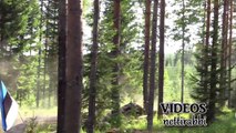 WRC Neste Rally Finland 2018 (Action & Crash)