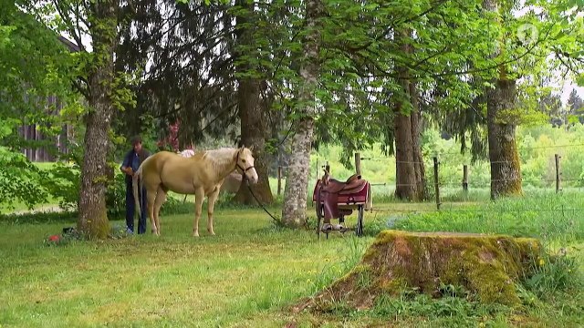 Folge 2964: Er gehört zu mir! | Sturm der Liebe