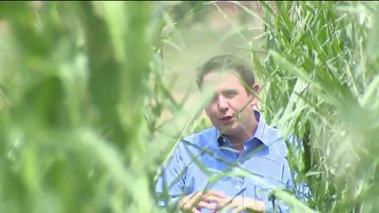 Colorado Farmer Loses Entire Crop in Hail Storm