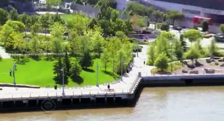 Dogs in the City S01 - Ep05 Eating House and Home HD Watch