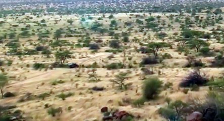 Nature  039 s Great Race S01  E01 Elephants - Part 02
