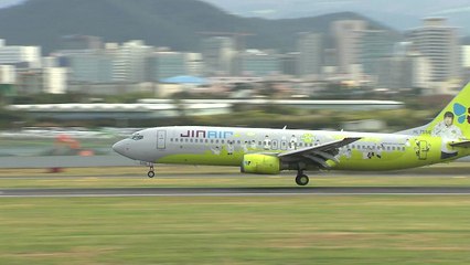 진에어 운명 가를 '면허 취소' 청문회 치열한 공방 / YTN