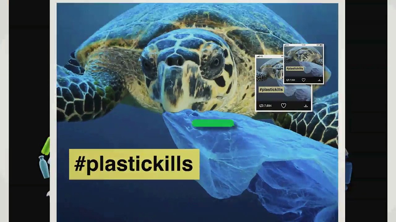 It’s a noisy world. Find out what’s actually happening. - BBC News