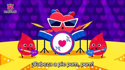 Canción Infantil LAS PARTES DE MI CUERPO