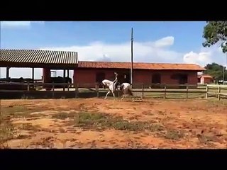 Safari da Janga no Canal Prime Selection