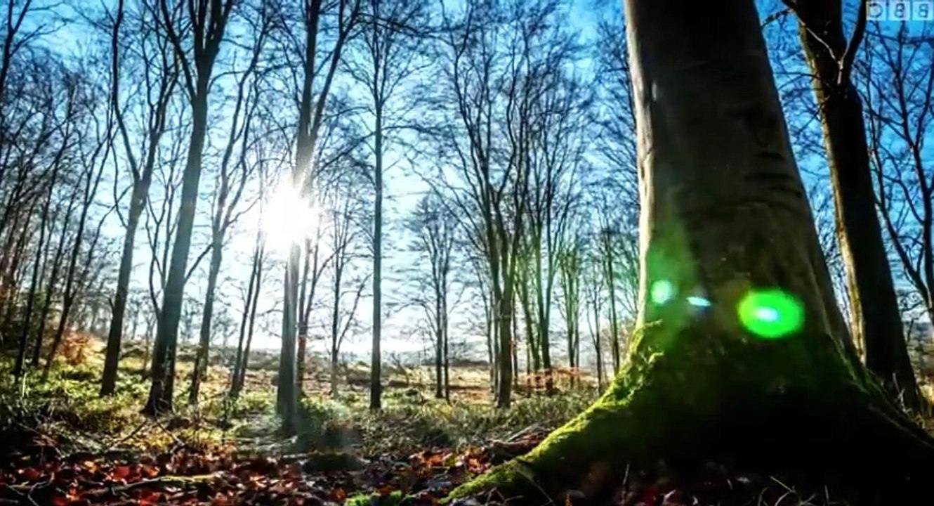 Animal Park  UK  S11xxE04 Easter Special 2017 E 4 - Part 02
