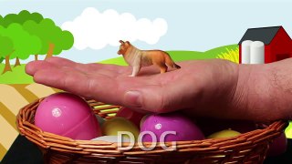 Surprise Eggs and Farm Animals Babies Toddlers Pre schoolers Kids Learn Education