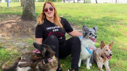 Dog Goes Viral With 'In My Feelings' Challenge