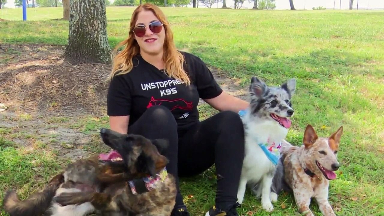 Dog Goes Viral With 'In My Feelings' Challenge