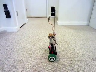 A Self-Balancing Robot