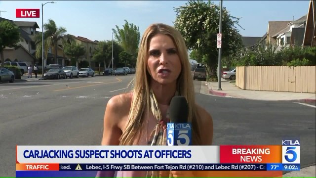 Carjacking Suspect on the Loose After Shootout With Officers in Los Angeles