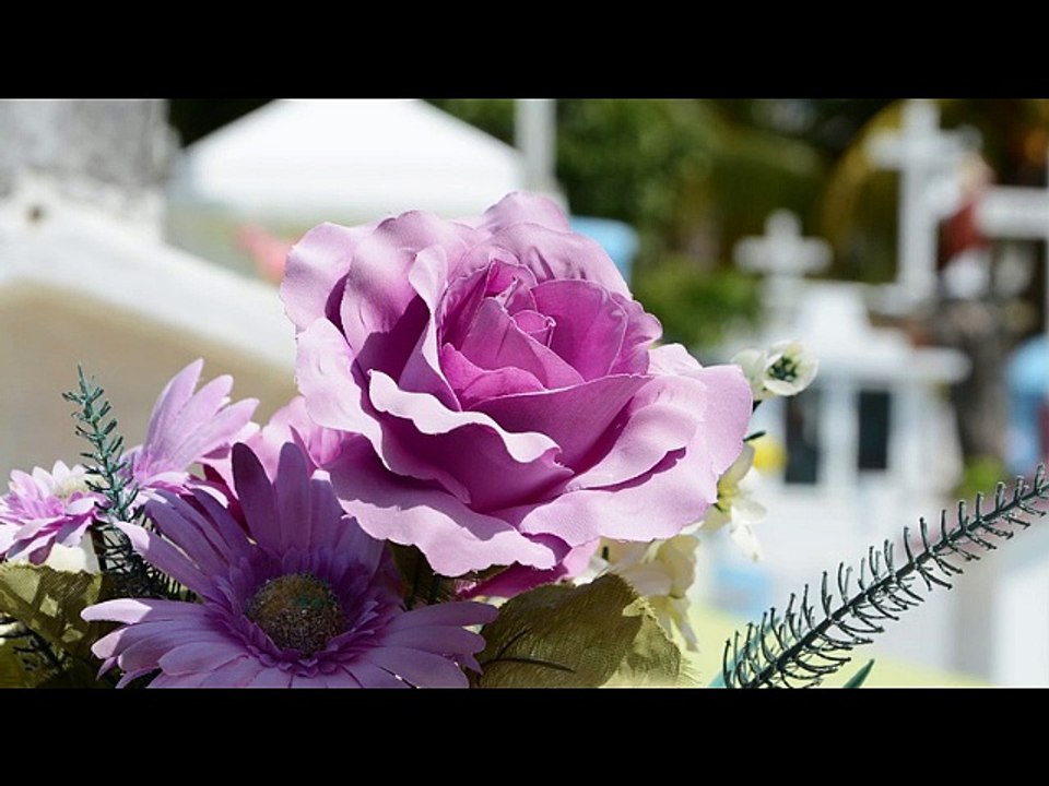 Musica funerale Borgomanero