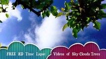 Free HD Time Lapse video of Clouds with Trees and Landscape