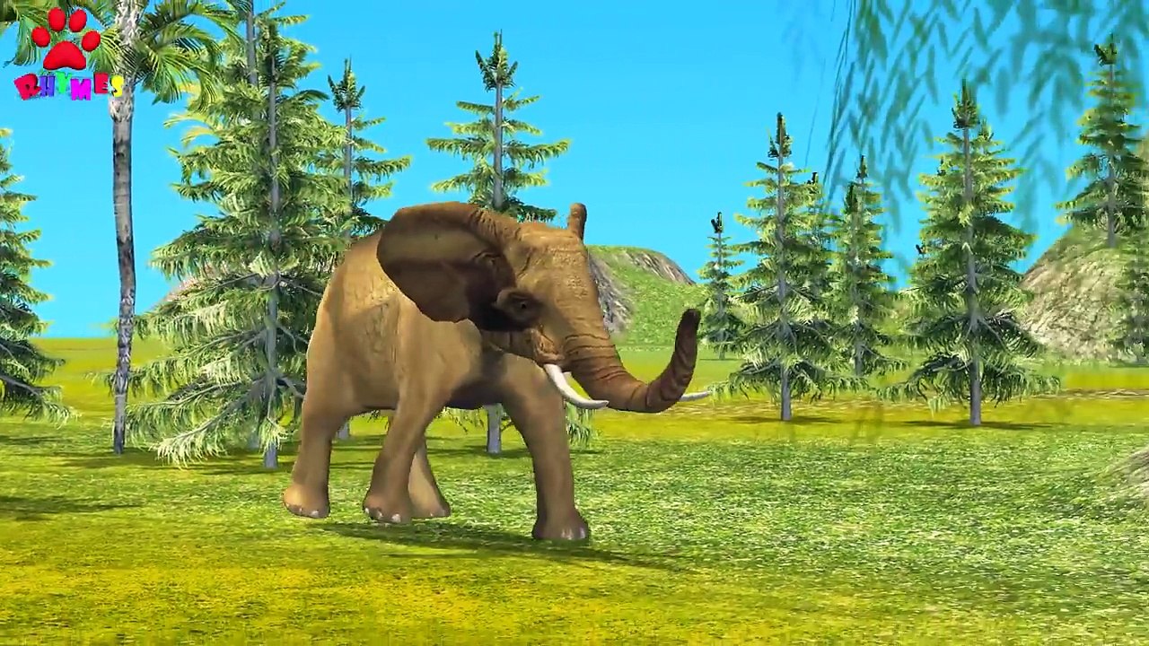 Elephant Finger Family Nursery Rhyme 3D | 3D Animals Cartoons Finger Family Rhymes