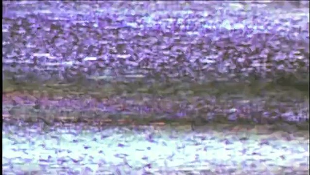 Paranormal Challenge S01E07 Allegheny Lunatic Asylum