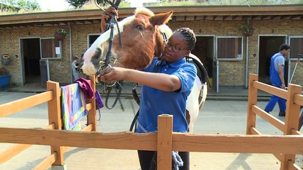 Un club ecuestre, refugio para los niños del sur de Londres