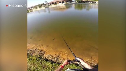 Un halcón no solo le quitó su presa sino que le dio un buen susto a este pescador