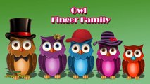 Finger Family Rhyme | Owl Family Nursery Rhyme | Daddy Finger Nursery Rhyme
