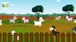 Baa Baa Black Sheep With Lyrics | Numbers Rhymes For Children | Aussie Kids Songs