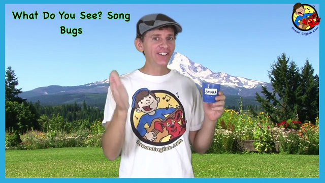 What Do You See? Song | Bugs and Insects | Learn English Kids