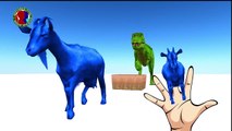 Form Animals Colors Finger Family Rhymes For Kids || Dinosaur Cow Goat Sheep