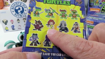 Funko Mystery Mini MLP My Little Pony Despicable Me Mutant Ninja Turtle Palooza Unboxing O