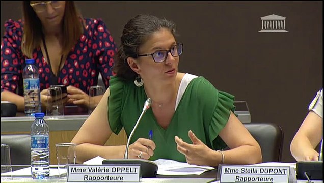 Commission des affaires économiques et commission des finances : Mission d'information commune sur les chambres de commerce et d'industrie - Mardi 24 juillet 2018