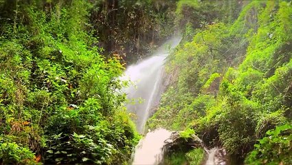 loja ciuadad limpia y cuna de la longevidad del ecuador