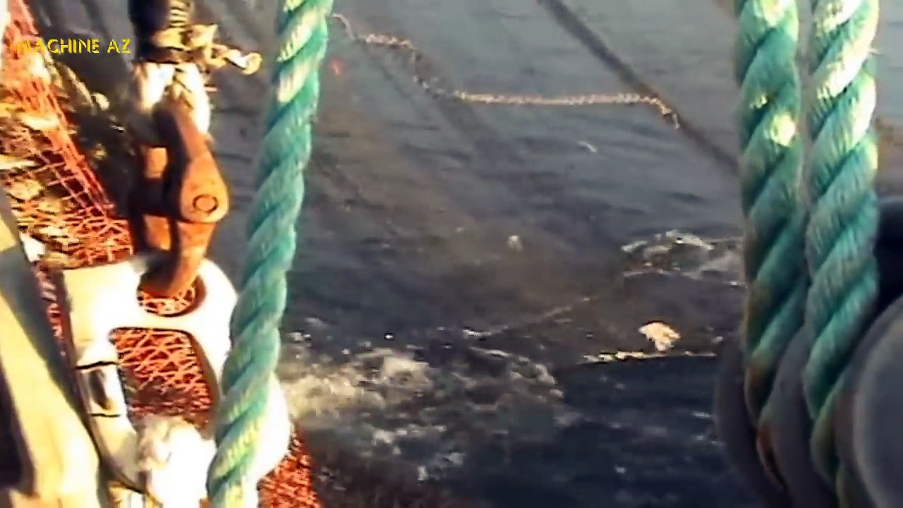 Big Catch Fishing Tuna..You Won't Believe That How Many Fish And Packing Processing Fish