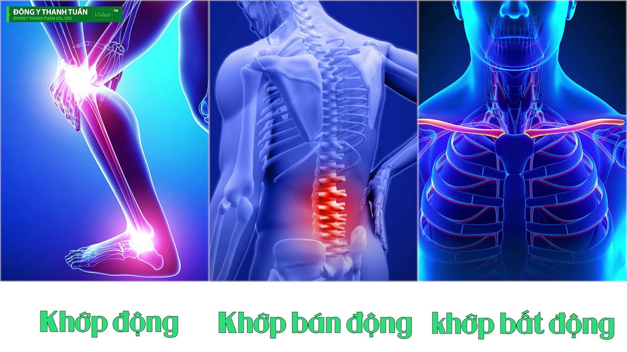 [Đông Y Thanh Tuấn] Siêu ưu đãi đồng giá sản phẩm xương khớp 299k