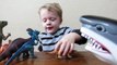 Great White Shark Toy helps Cole name the Dinosaur Toys.