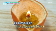 [HEALTHY]Natural 'orange mosquito   repellent' which is good for mosquito   eradication , 기분 좋은 날 20180731