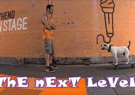 Acrobatic Dog Demonstrates Impressive Tricks