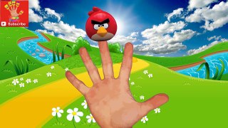 Angry Birds Game Finger Family Song
