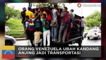 Keranjang anjing: Orang Venezuela jalan-jalan dengan ilegal transportasi - TomoNews